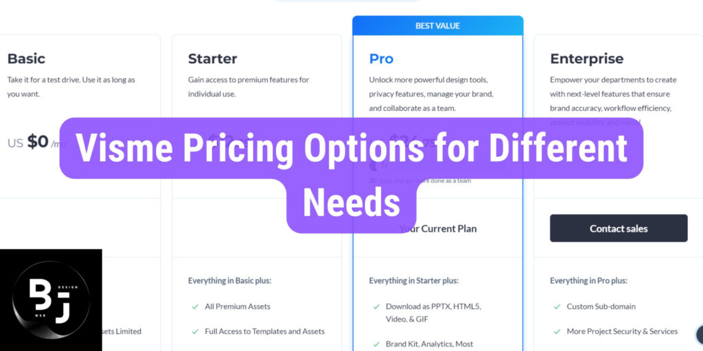 Visme Pricing Options for Different Needs​